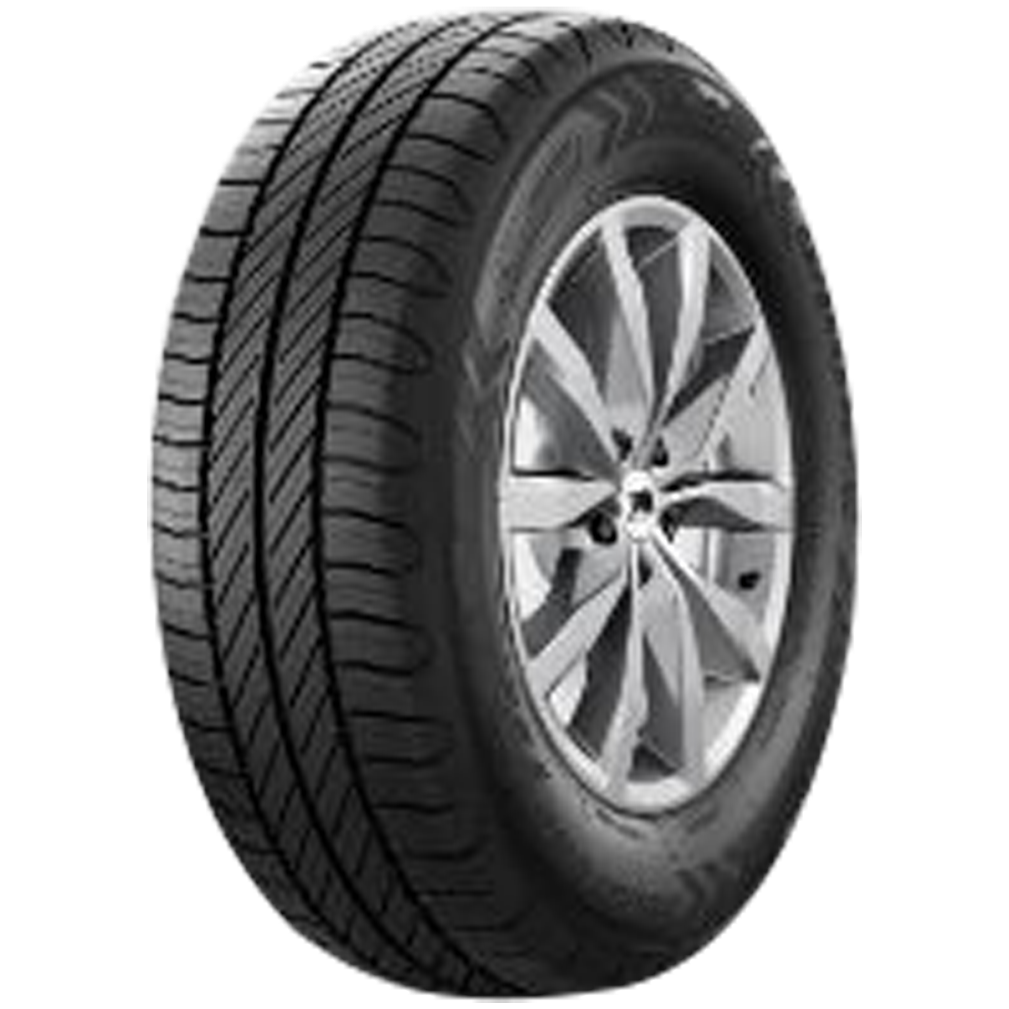 215 75 R016 113R TAURUS CARGO SPEED EVO C