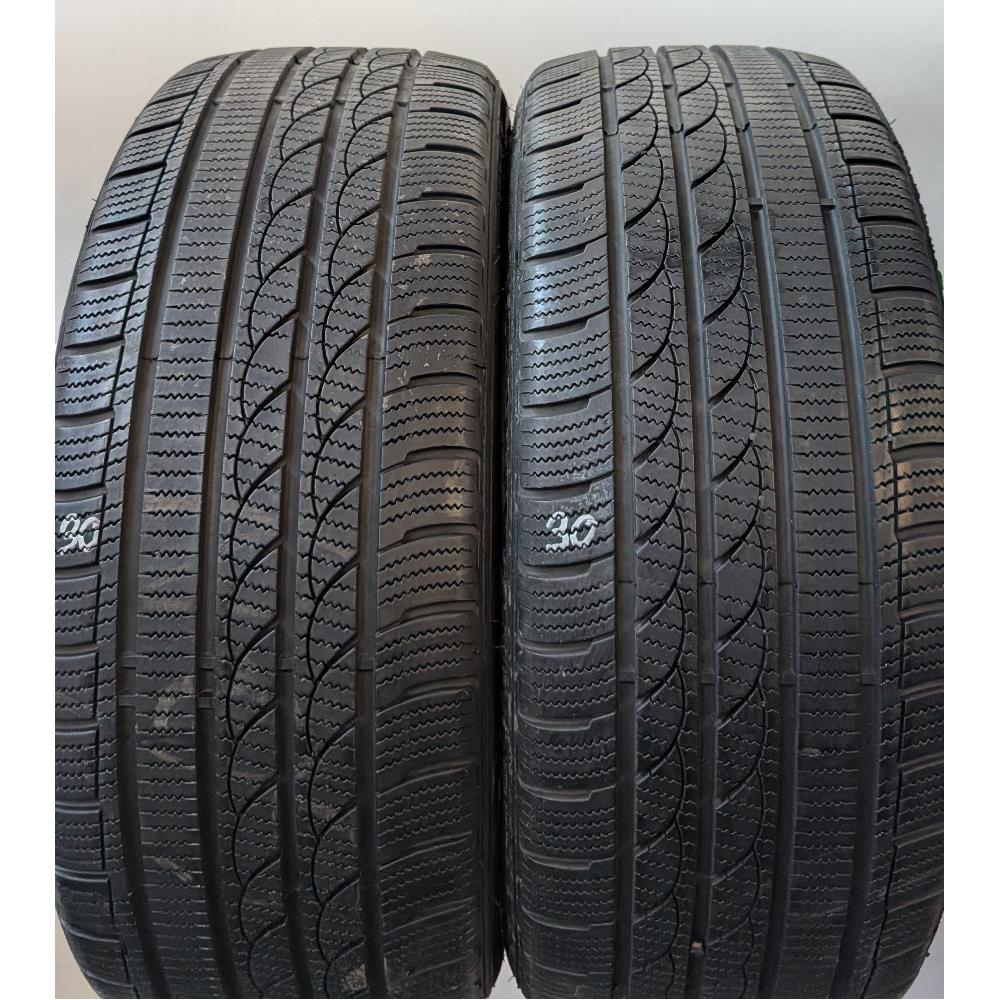 225 45 18 95V XL M+S MINERVA ICE PLUS 210