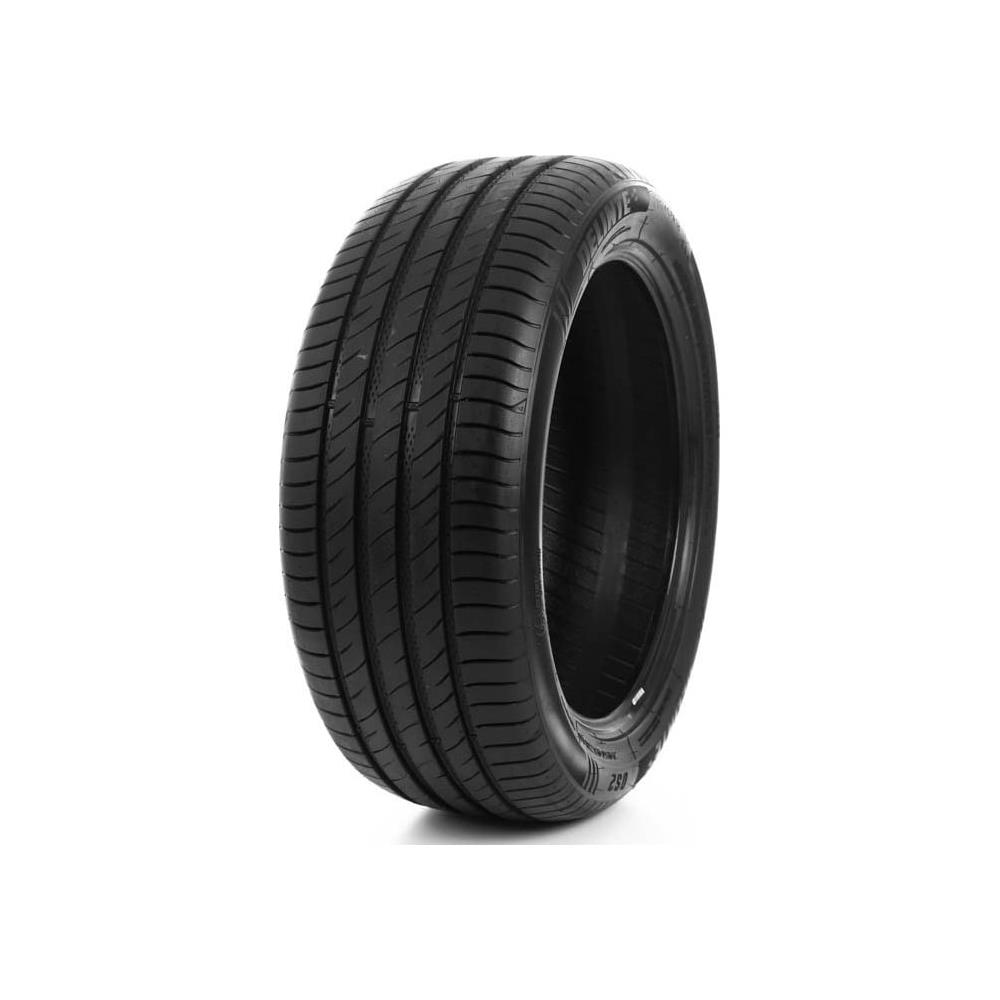 225 45 ZR18 95W M+S XL DELINTE DS2