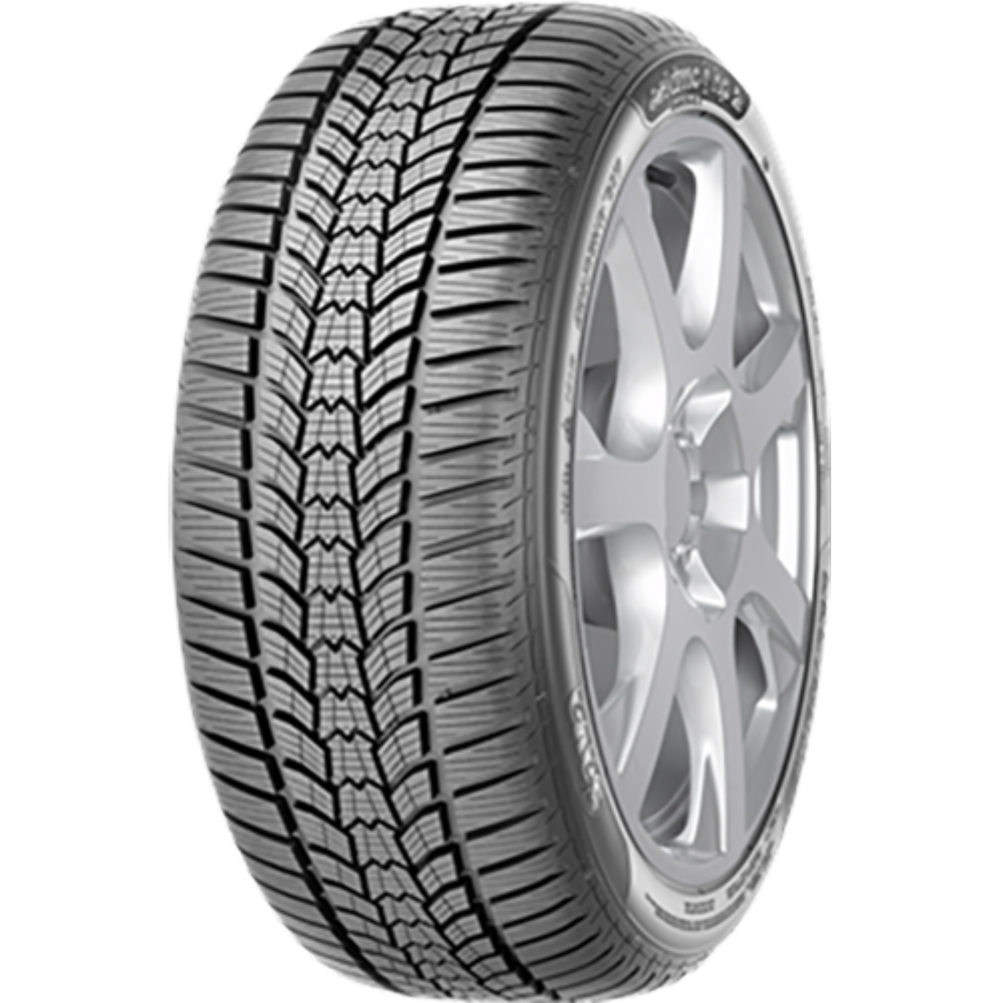 225 55 R16 95H SAVA ESKIMO HP 2 