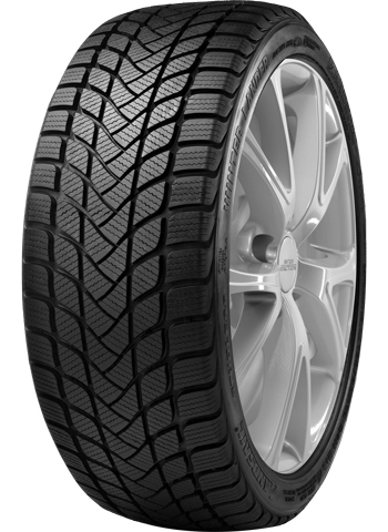 LANDSAIL 205/50 HR17 TL 93H  LANDSAIL WINTER LANDER XL